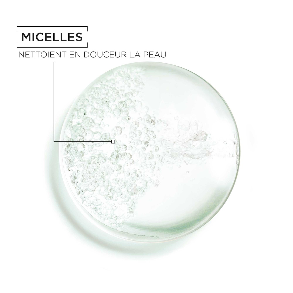 garnier SkinActive Solution Micellaire Tout En 1 Peaux Mixtes et Sensibles