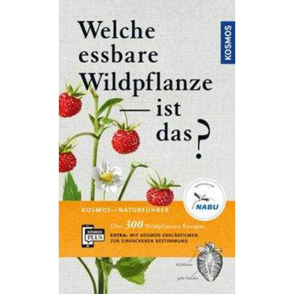 Welche essbare Wildpflanze ist das? - Ratgeber
