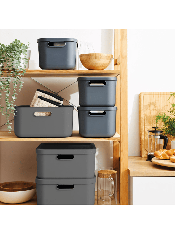Rotho Albula Light 2er-Set Aufbewahrungskiste 20l in Anthrazit günstig kaufen onesize