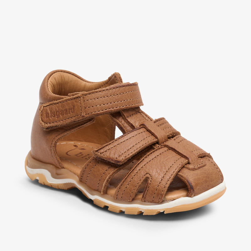 anni cognac - Braun