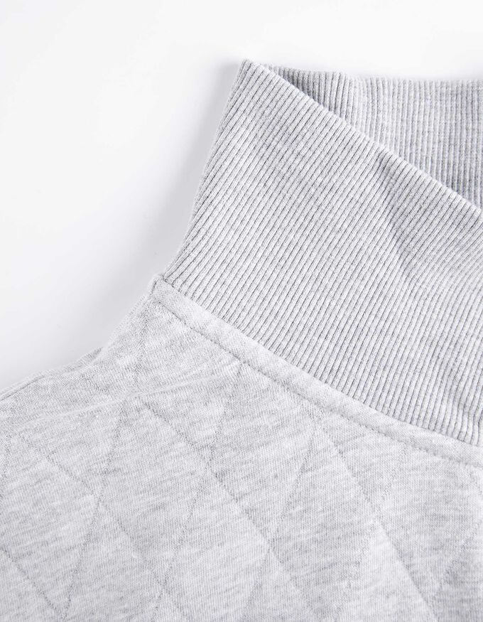 Troyer - Labelpatch