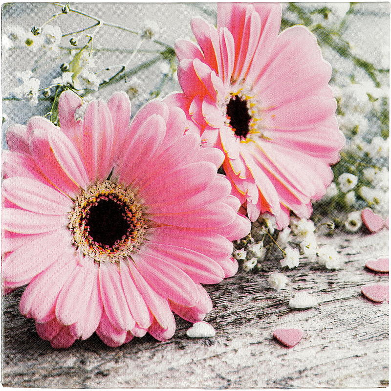 Vie Eco Servietter 20-pk 33x33 cm