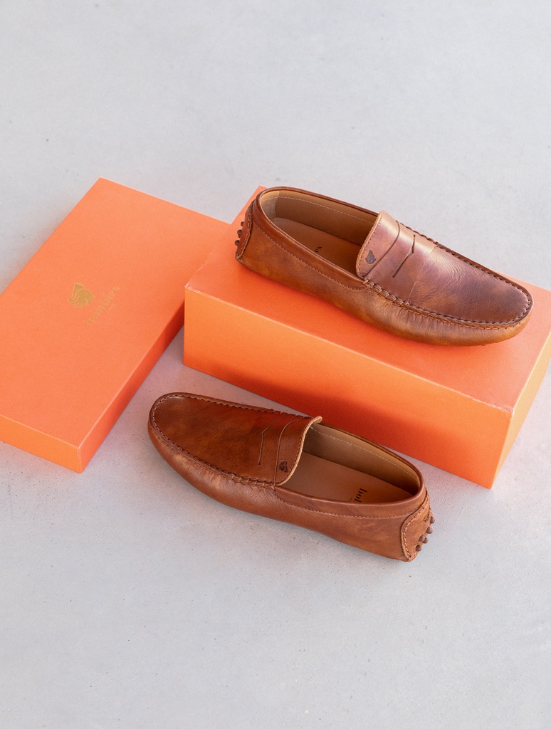 Lewis - Cognac