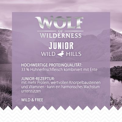Wolf of Wilderness Junior 