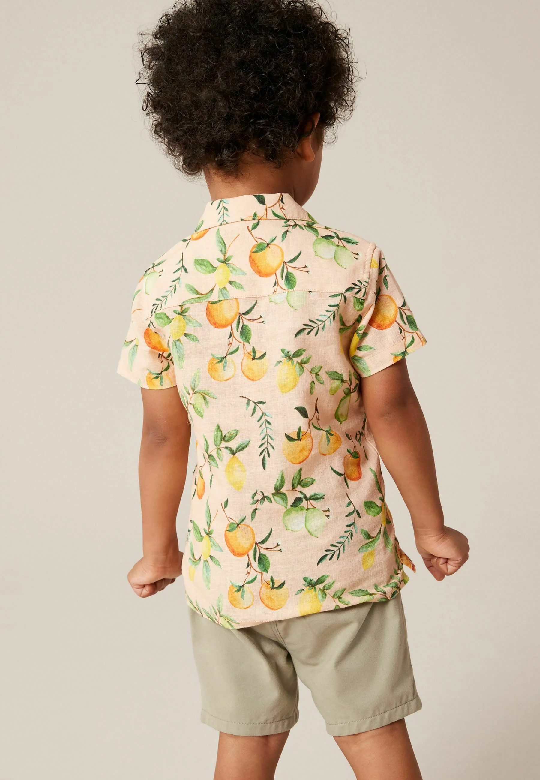 Camisa Next REGULAR FIT