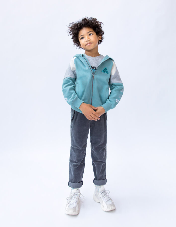 Jogging gris velours milleraies garçon