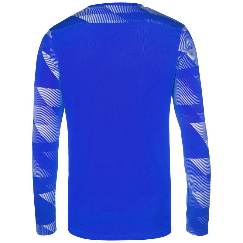 Nike Park IV Trikot Herren