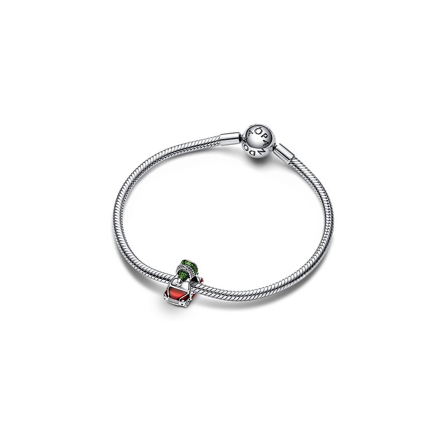 Pandora Charm Moments
