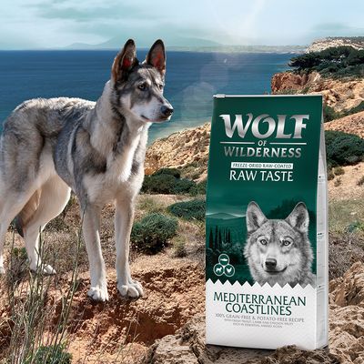 2 x 12 kg Wolf of Wilderness 