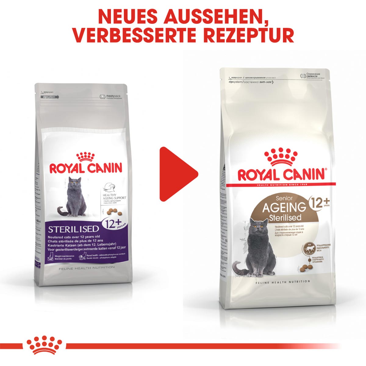 ROYAL CANIN AGEING 12+ Sterilised Trockenfutter für ältere kastrierte Katzen 4kg