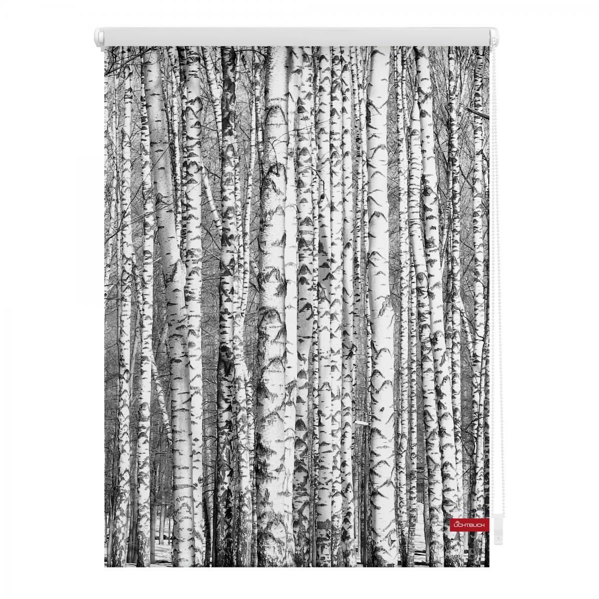 Lichtblick Rollo Klemmfix, ohne Bohren, blickdicht, Birken - Schwarz Weiß, 90 x 150 cm (B x L)