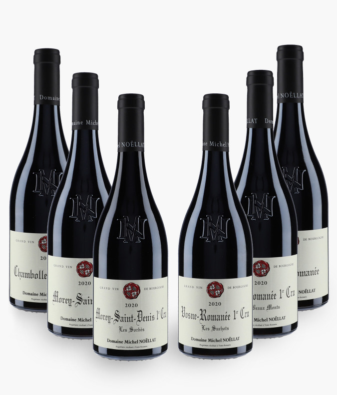 Horizontale - Domaine Michel Noellat 2020NOELLAT MICHEL