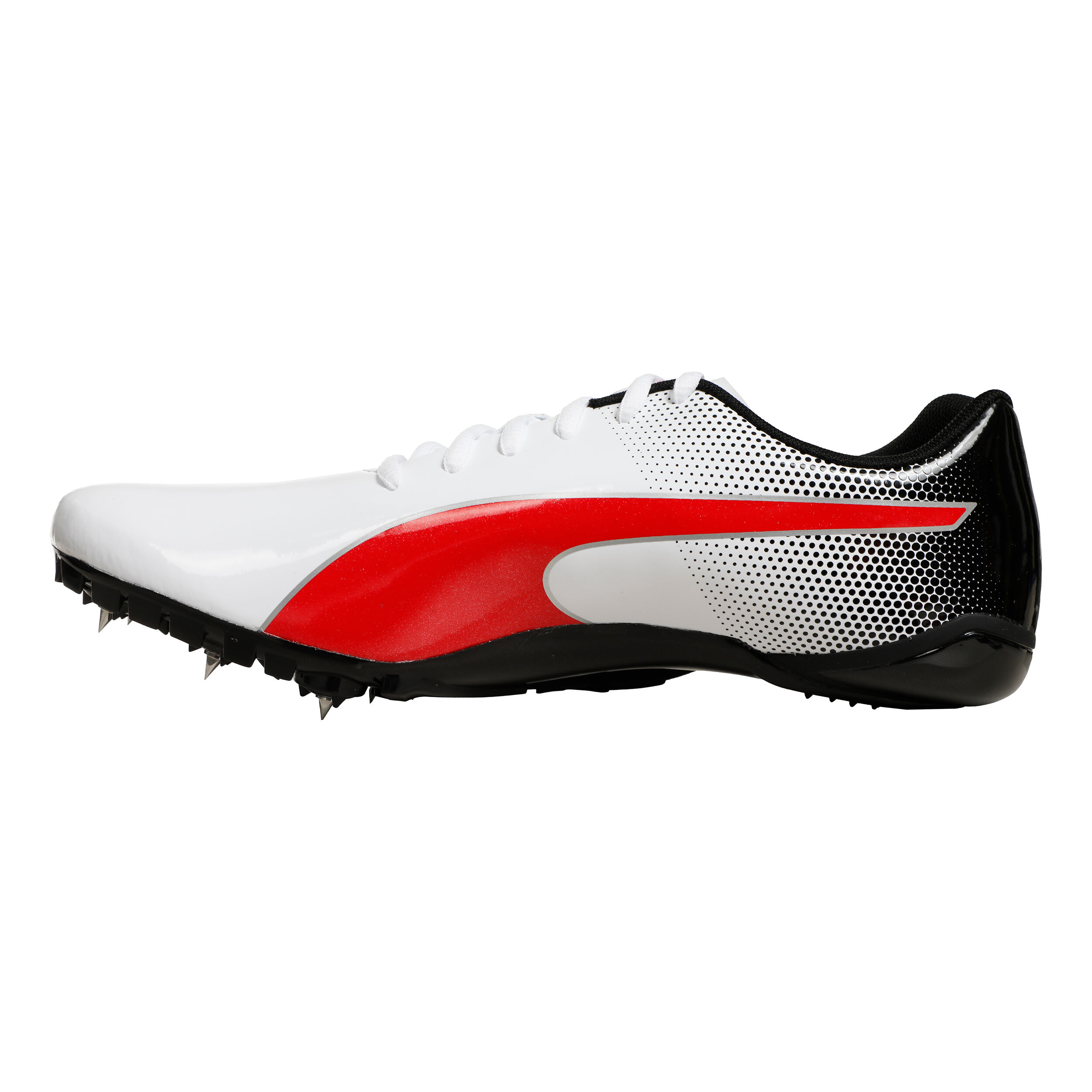 EvoSPEED Prep Sprint 3 Spikeschuh - Weiß, Schwarz