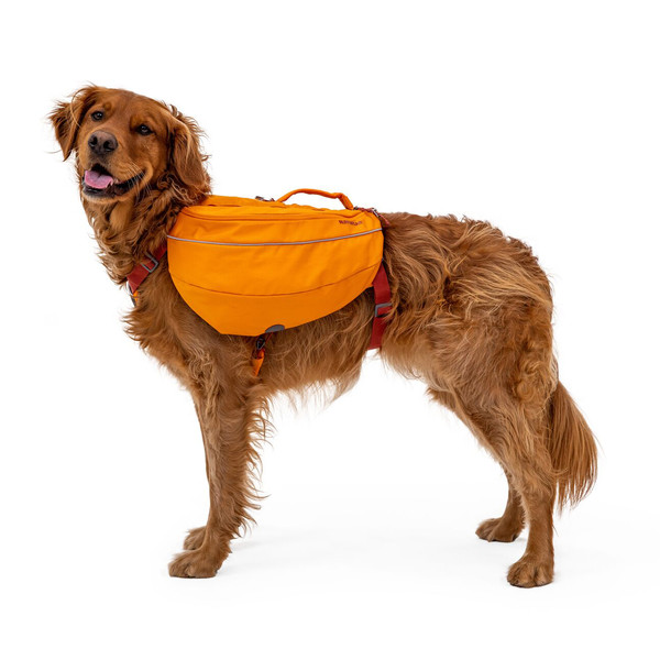 APPROACH PACK - Hundezubehör