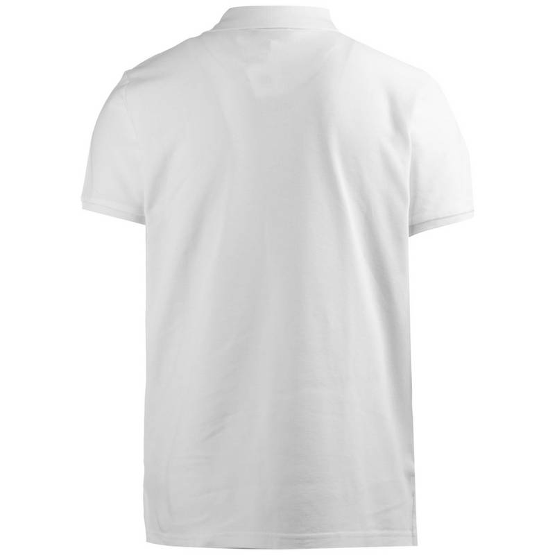 Ocean Fabrics OCEAN FABRICS Poloshirt Herren