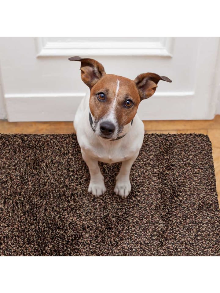 WohnDirect Fußmatte, Türmatte MAGIC DOORMAT in Grau günstig kaufen