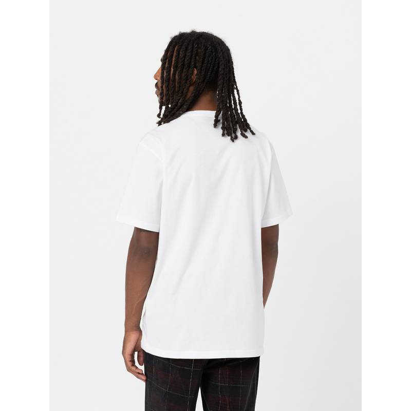 Dickies Aitkin T-Shirt Herren