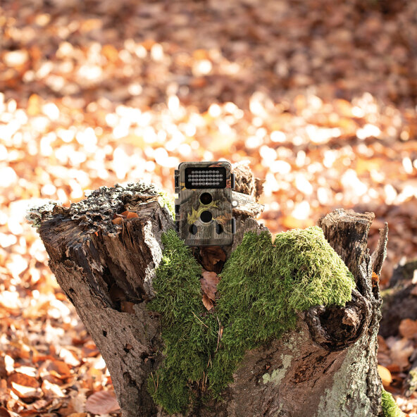 Wild-Überwachungskamera WK-400HDW, camo