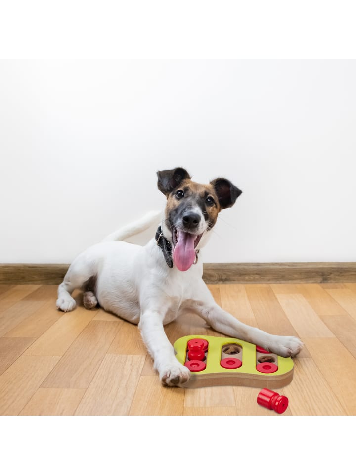 relaxdays Hunde-Intelligenzspielzeug in Bunt günstig kaufen onesize