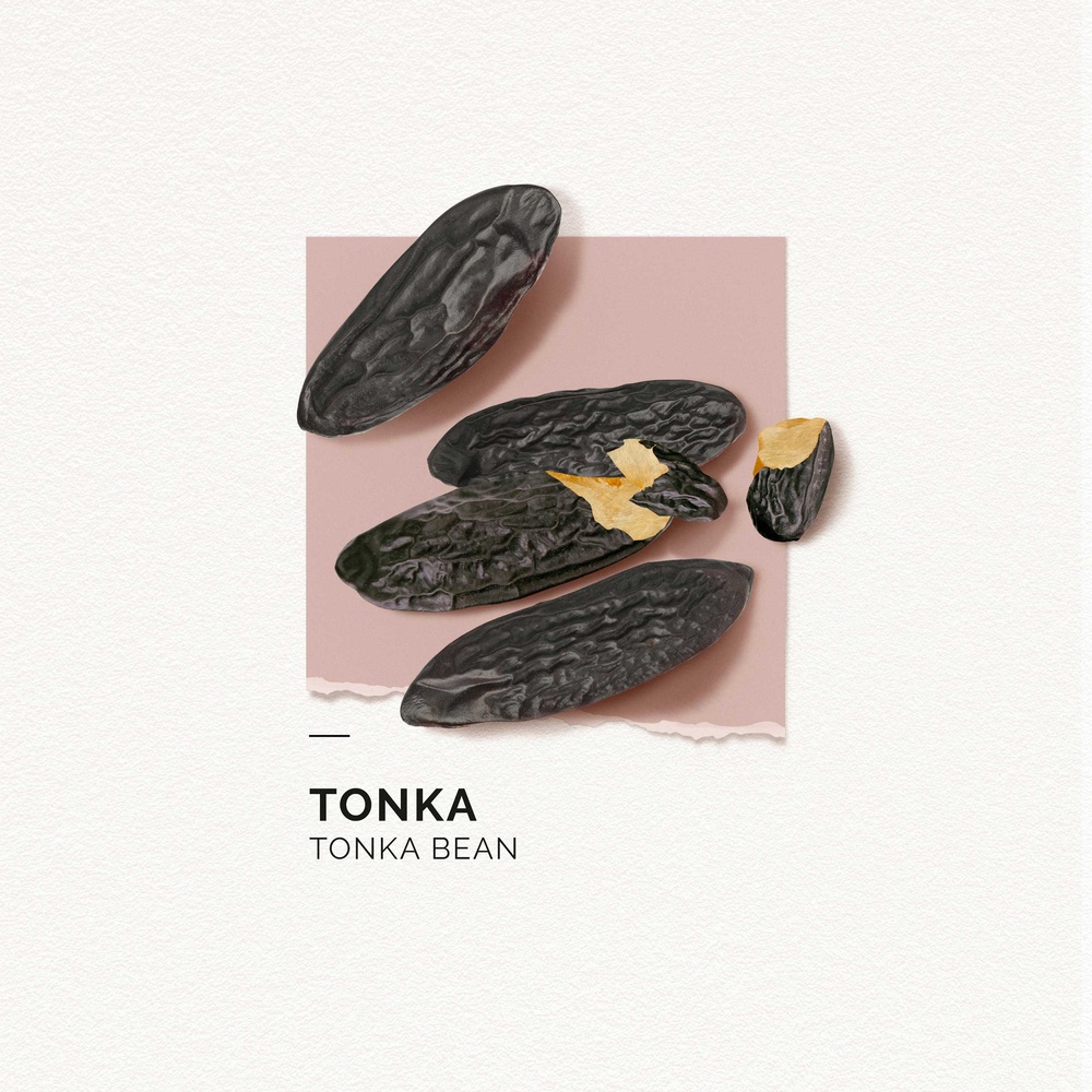 Solinotes Tonka Eau de Parfum