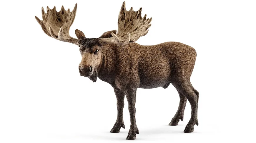 Schleich 14781 - Wild Life - Elch Bulle