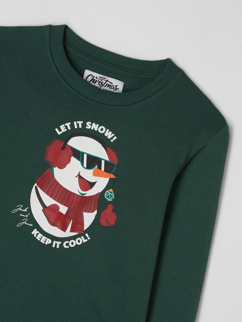 Sweatshirt mit Print Modell 'Jortoon' in grün