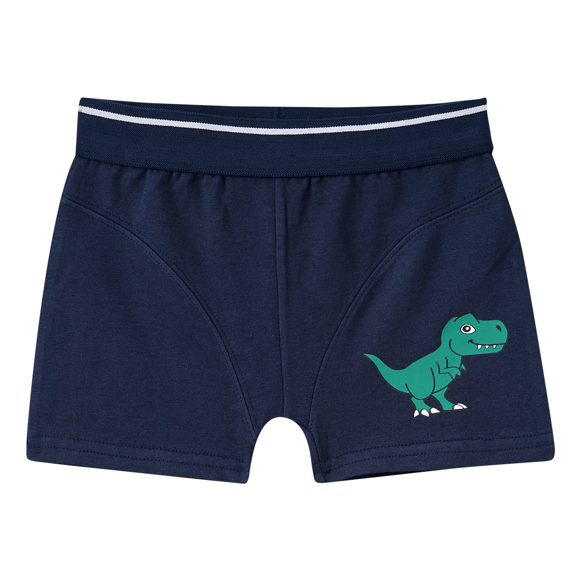 5 Jungen Boxer in verschiedenen Dessins