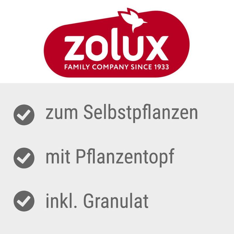 Zolux Katzengras zu TOP-Preisen