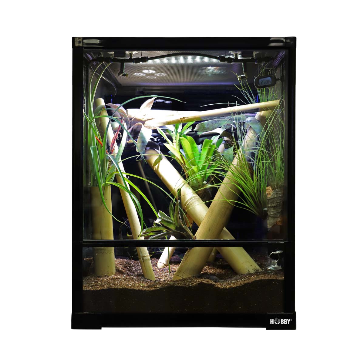 Hobby Faltterrarium Terra Fix & Easy günstig kaufen
