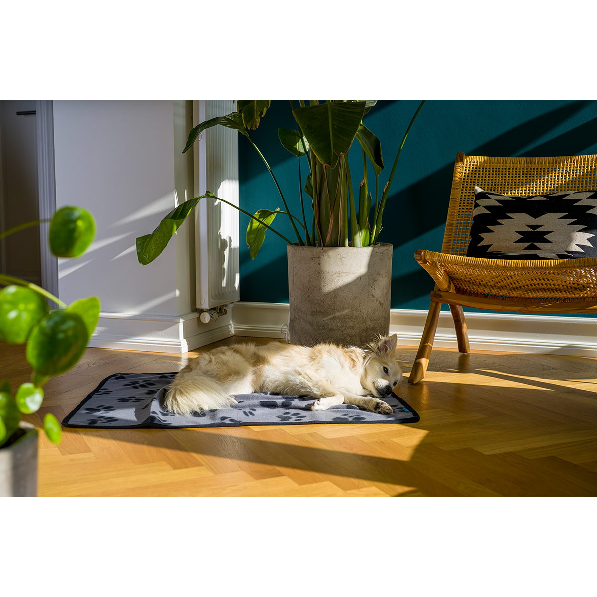 ZooRoyal Kuscheldecke Kali anthrazit günstig kaufen