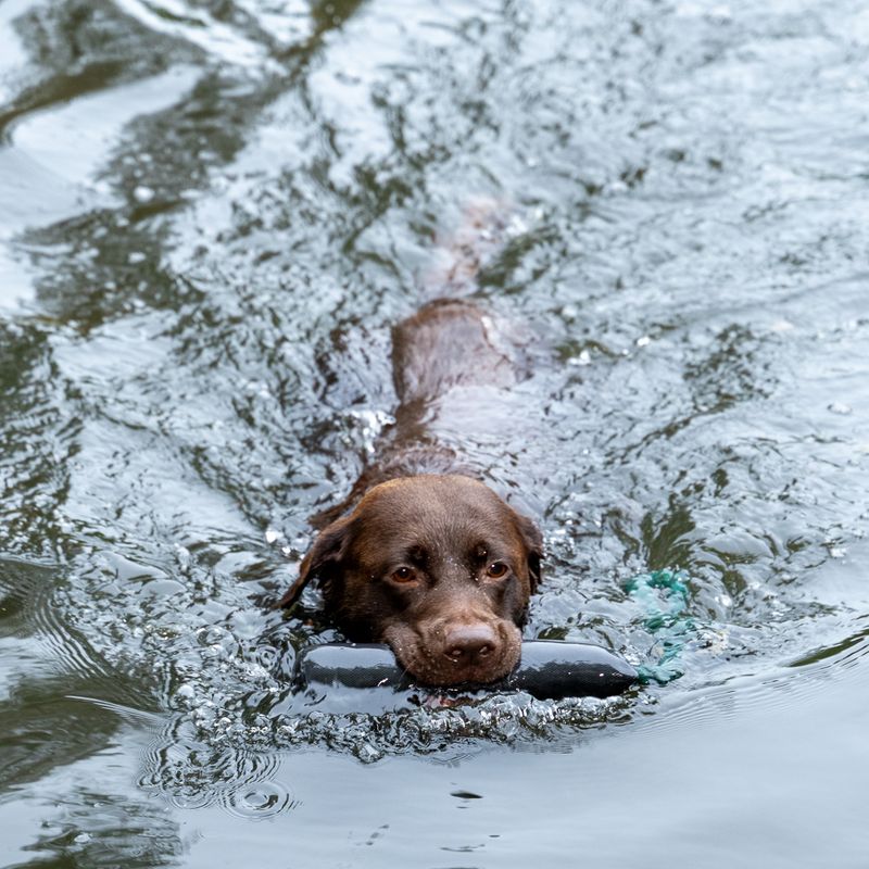 Nomad Tales Spirit Schwimmender Dummy zu TOP-Preisen | bitiba %