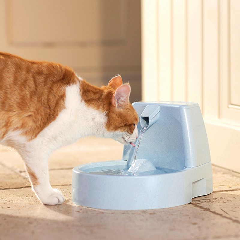 PetSafe Drinkwell Original Trinkbrunnen zu TOP-Preisen | bitiba