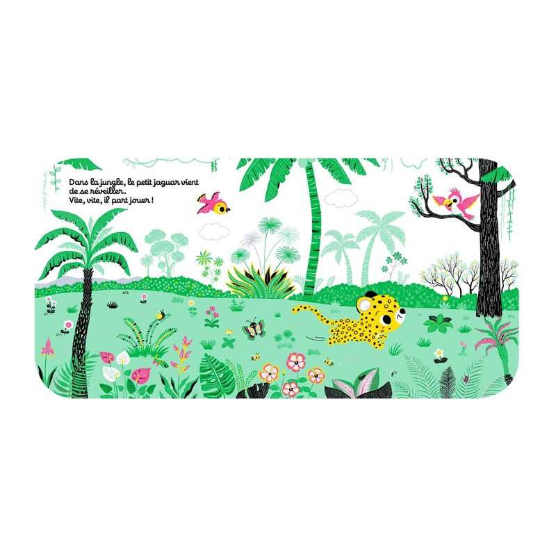 Livre Regarde dans la jungle - Nathan Jeunesse