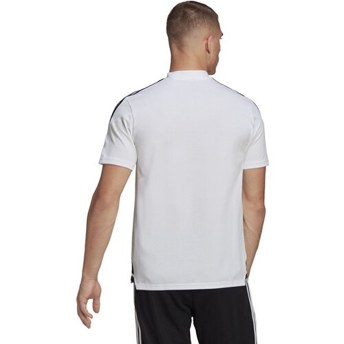 HERREN POLO CONDIVO 22 (NORMAL & LANG)