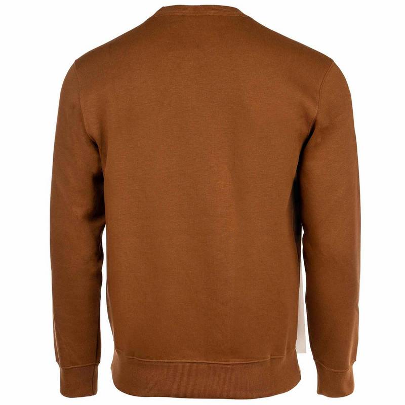 CHAMPION Sweatshirt Sweatshirt Herren