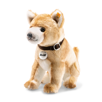 Pacco Shiba Inu