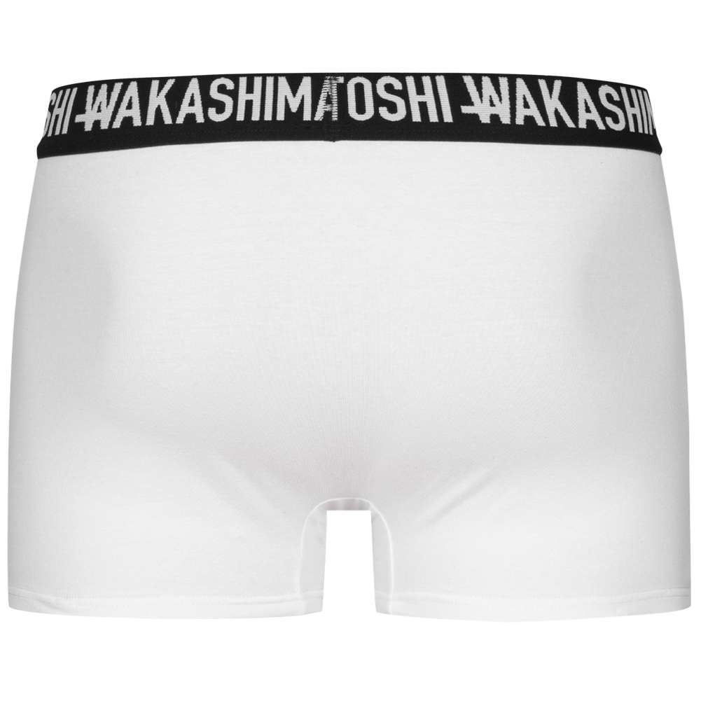 HIDETOSHI WAKASHIMA 