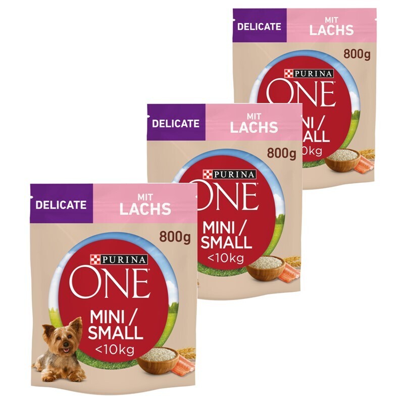 Purina ONE Hundetrockenfutter Purina ONE Mini Adult Lachs 3x800 g