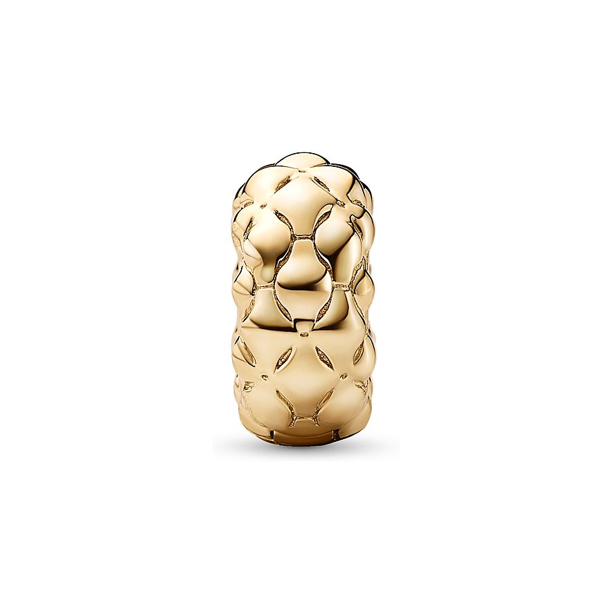 Pandora Charm Moments