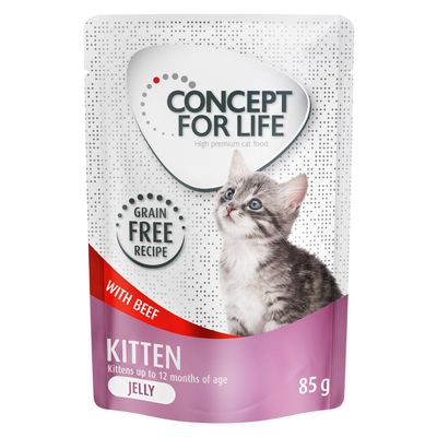 Sparpaket Concept for Life getreidefrei 48 x 85 g