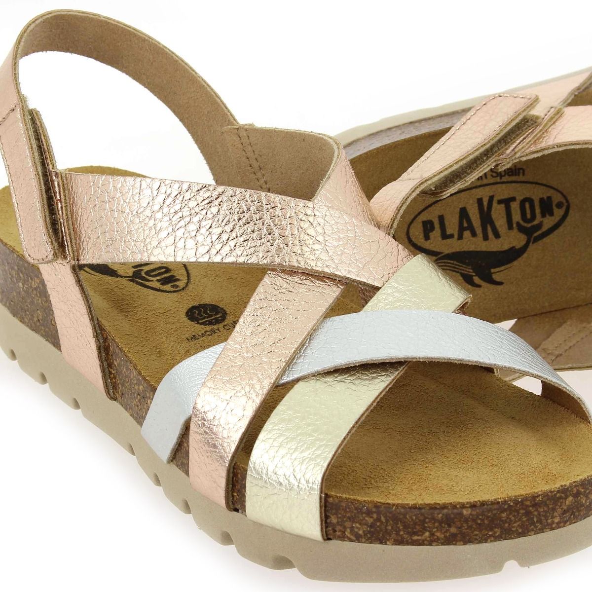 Plakton   CALYPSSO - Platine
