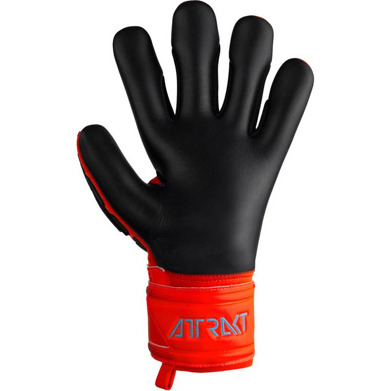 Reusch Attrakt Freegel Silver Torwarthandschuhe