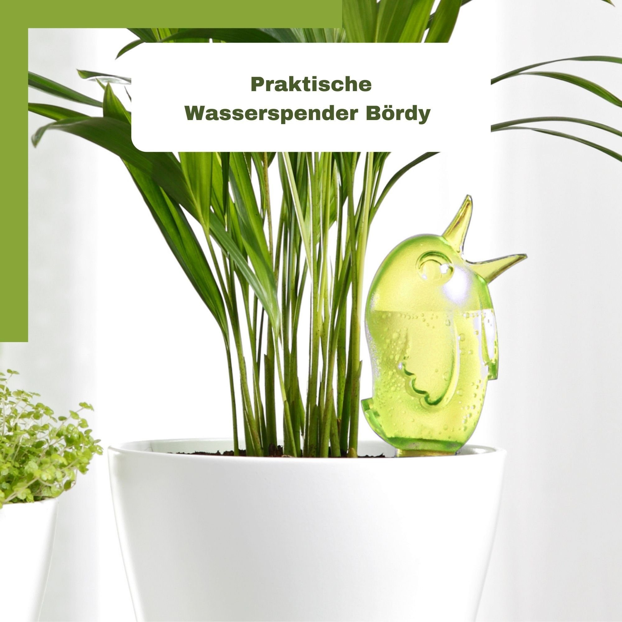 Scheurich Bewässerungssystem -, (Spar-Set, 4-tlg), Scheurich Wasserspender Bördy S 90 ml