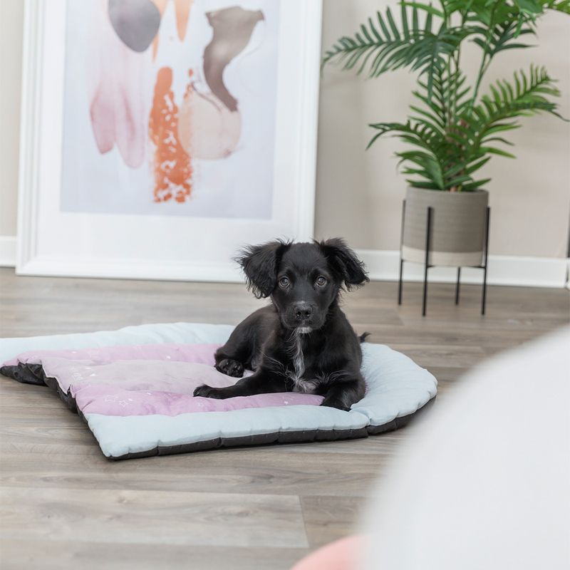 Trixie Junior Liegematte Patchwork zu TOP-Preisen