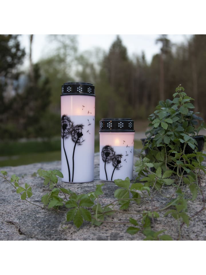 STAR Trading LED Grabkerze 'Dandelion', Timer, 12cm günstig kaufen onesize