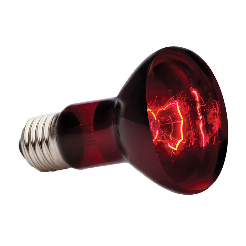 Hagen Wärmequellen Hagen Exo Terra Infrarot-Spotlampe Heat GL 50 W