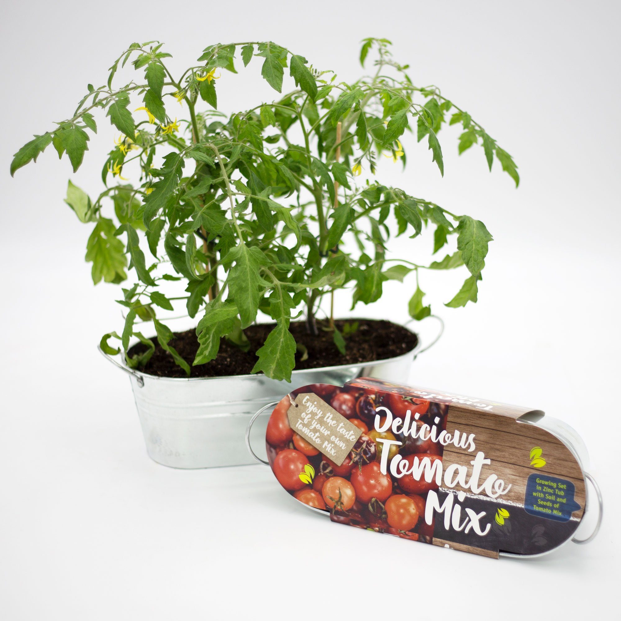 UNUS GARDEN Blumenerde Anzuchtset Tomaten Zinkwanne, (33 x 12 x 11 cm (LxBxH), inklusive Zinktopf / Zinkwanne, Blumenerde, Saatgut (Tomatensamen)