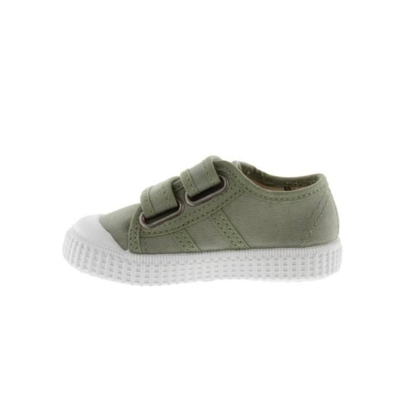 VICTORIA, 136606, Aloe vert