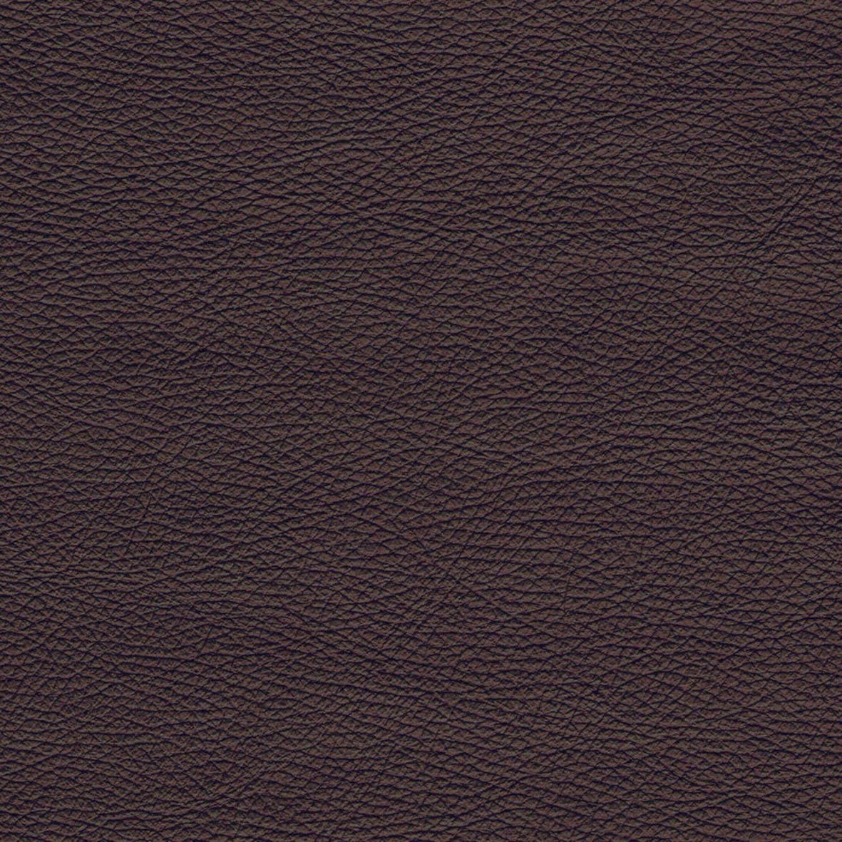 DOMO collection Ecksofa Brandon, Mit Kopfteilverstellung, auch in Leder und Cord