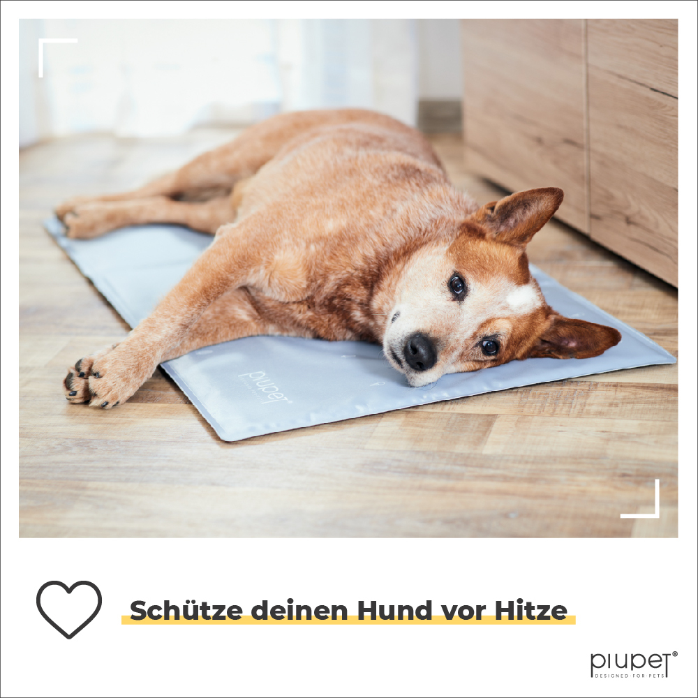 PIUPET Hundematten PIUPET Kühlmatte 50 cm, 2 cm, 2 cm